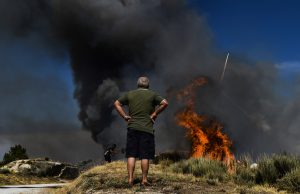 Presidente da AGIF admite que ainda há caminho a percorrer na prevenção e combate aos incêndios
