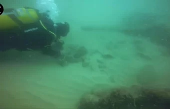 Descoberta parte de casco de uma nau da Índia naufragada no Faial em 1615