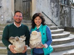 Projeto da Universidade de Coimbra recebe cerca de 400 mil euros do PRR para potenciar o cultivo sustentável de cogumelos