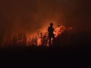 Calor e seca colocam mais 280 bombeiros no terreno até sábado para combate a incêndios